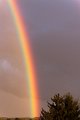 Regenbogen